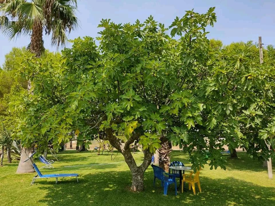 Masseria Don Egidio Agroturismo Melendugno